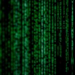 Промышленная конопля и ее применение в России 1-79.jpg