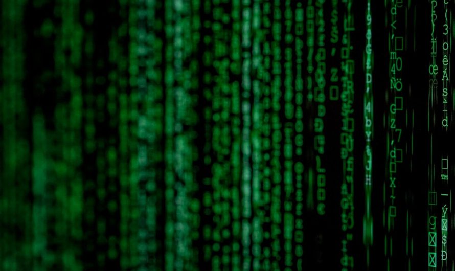 Промышленная конопля и ее применение в России