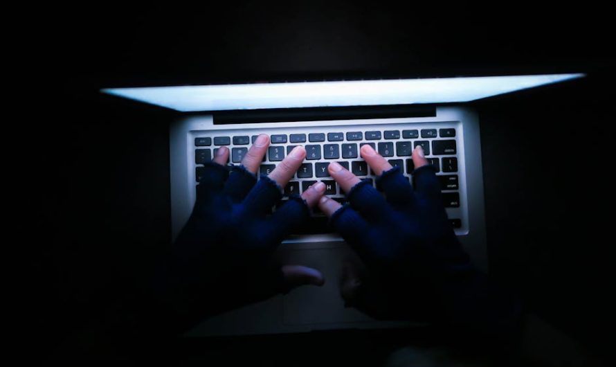 Купить марихуану в Санкт-Петербурге