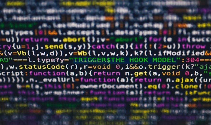 Особенности покупки гашиша в Египте