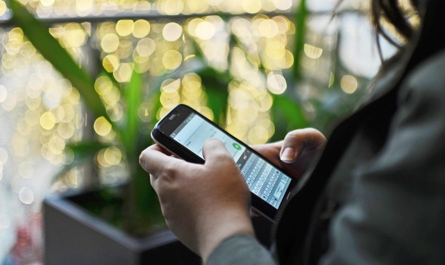 Где купить семена конопли и как выбрать надежный интернет магазин семян конопли