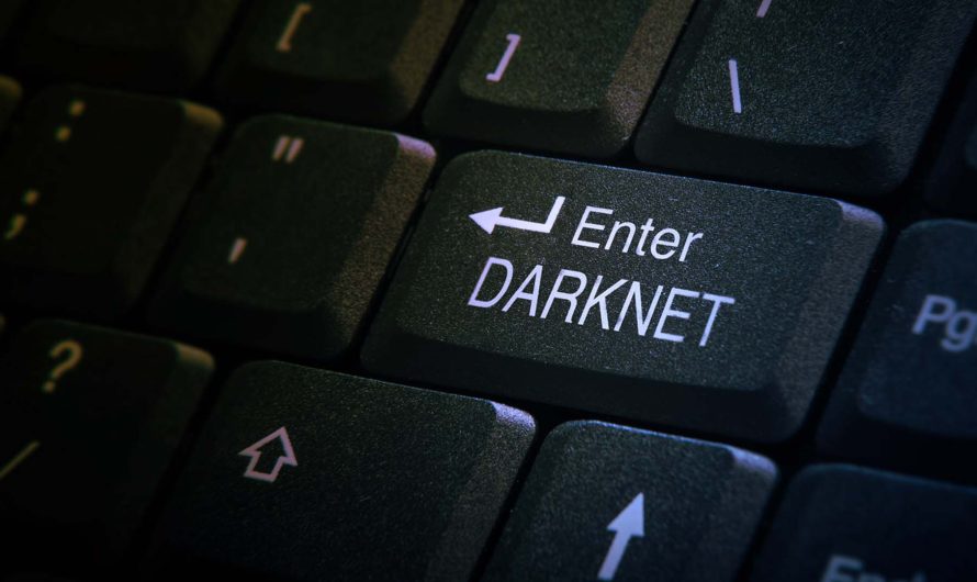 Марихуана в Берлине