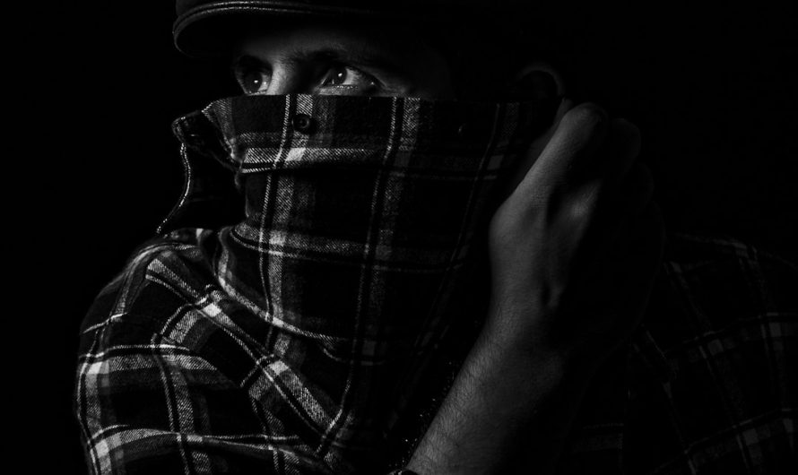 Семена каннабиса и их покупка в России