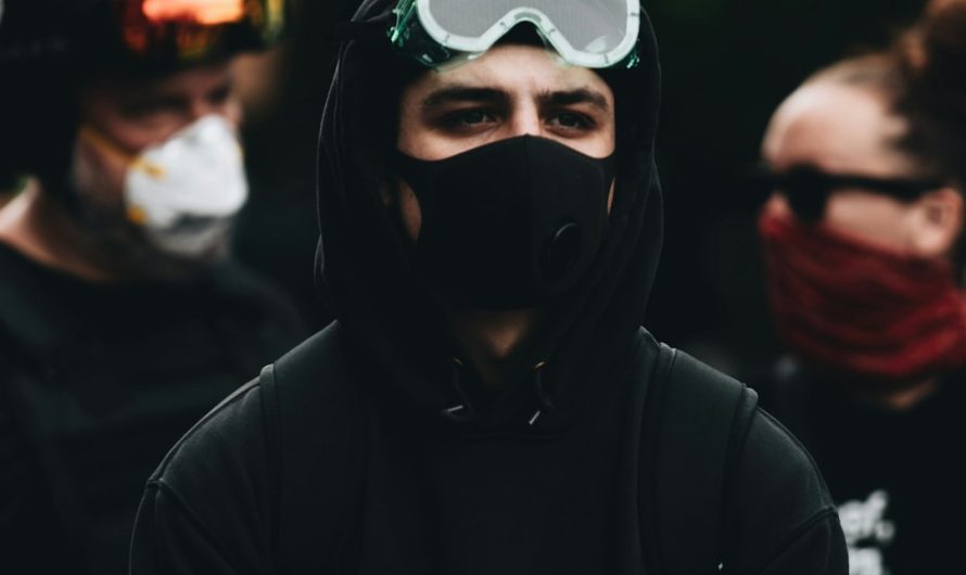 Купить семена конопли в Ростове-на-Дону: свойства и виды семян конопли