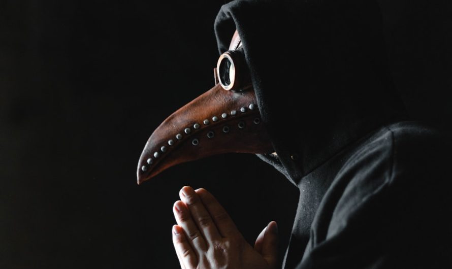 Семена конопли для рыбалки