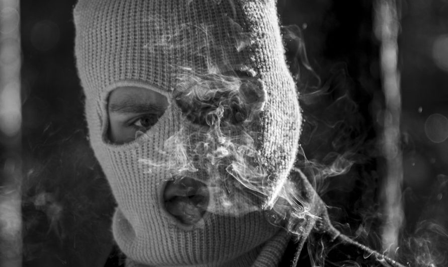 Купить семена конопли недорого в интернет магазине с доставкой