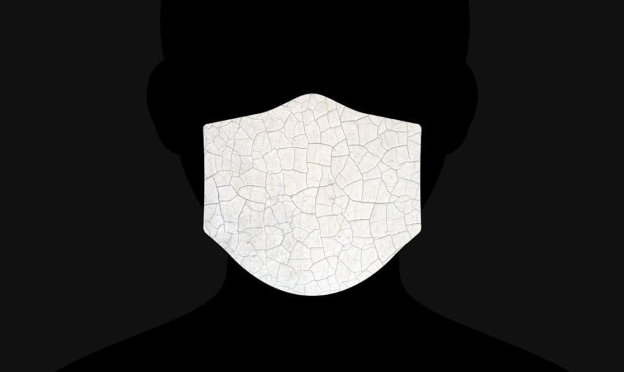 Семена каннабиса: правильный выбор для успешного выращивания