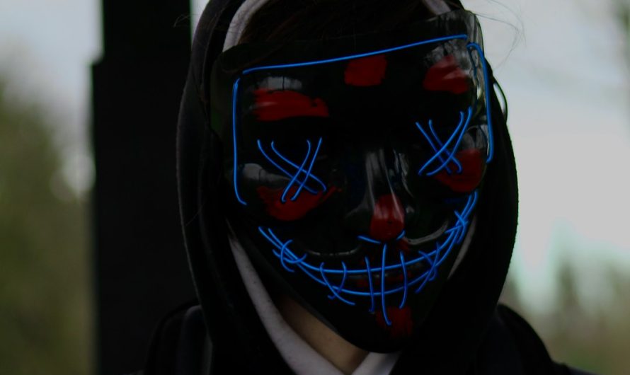 Конопля и продукты из нее — свойства и применение