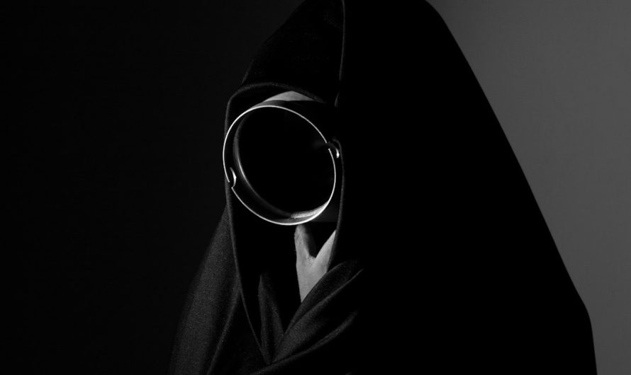 Семена конопли для выращивания и их разнообразие