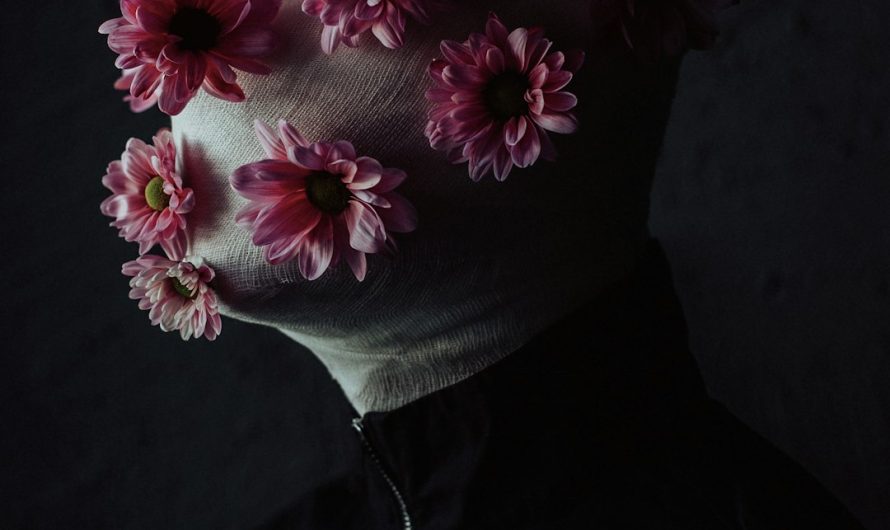 Техническая Конопля Свойства Применение и Выращивание