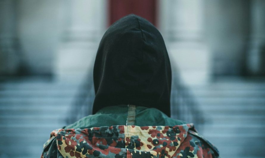 Покупка семян конопли оптом: преимущества и особенности выбора поставщика