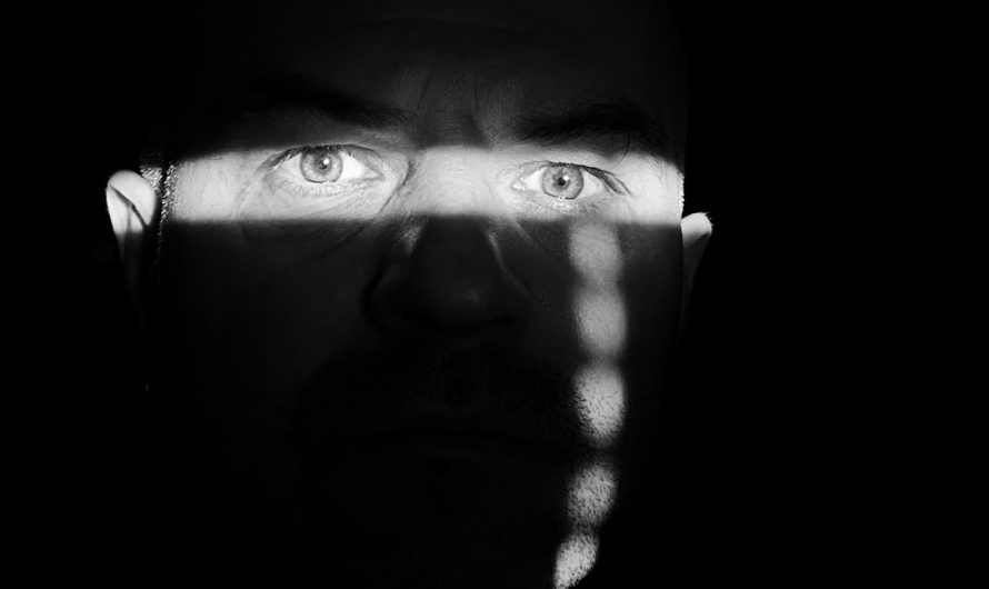 Семена конопли свойства и оптовая покупка