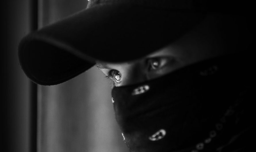 Купить коноплю в Орле и доставка семян конопли по России